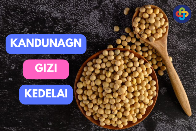 Kedelai: Mengandung Gizi Apa Saja